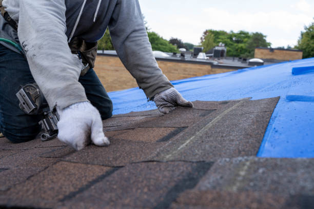 Best Roof Maintenance Services  in Stanton, MI