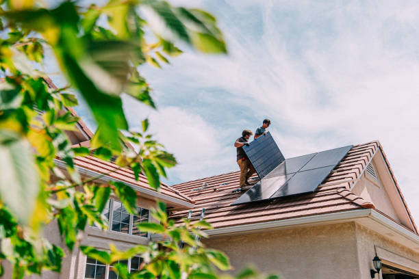 Best Roof Repair Services  in Stanton, MI