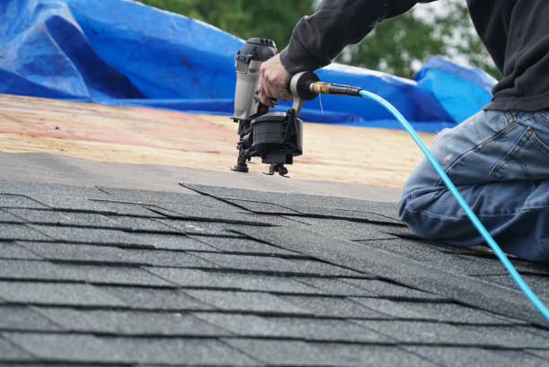 Best Flat Roof Repair Services  in Stanton, MI