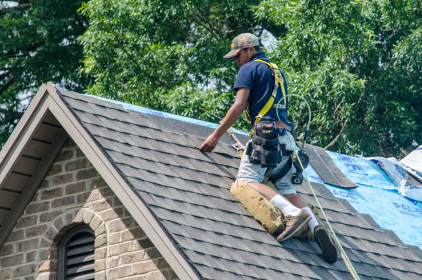 Best Shingle Roofing Installation  in Stanton, MI