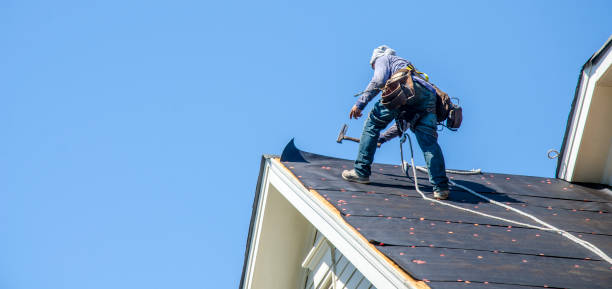Best Roofing Contractor Near Me  in Stanton, MI