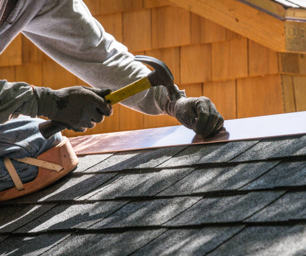 Best Residential Roof Replacement  in Stanton, MI